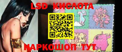 хмурый Кингисепп