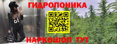 прущие крисы Кимры