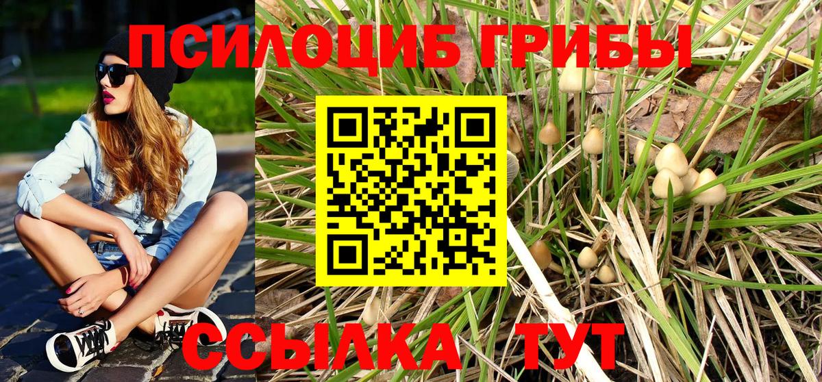 Псилоцибиновые грибы Magic Shrooms  Кудымкар 