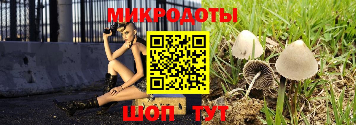 Псилоцибиновые грибы Psilocybine cubensis Кудымкар